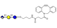 Glucuronyl-lactose with...