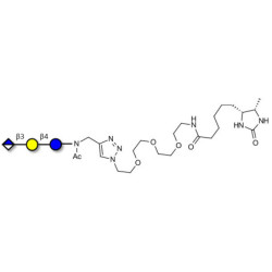 Glucuronyl-lactose linked to desthiobiotin (Linker-DBT-A)