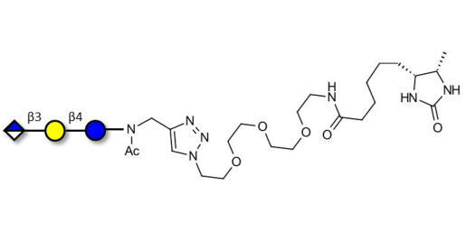 Glucuronyl-lactose linked to desthiobiotin (Linker-DBT-A) - HNK 1 epitope precursor