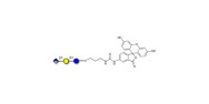 Glucuronyl-lactose linked...