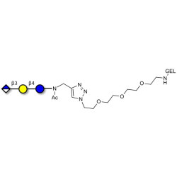 Glucuronyl-lactose grafted on gel for affinity chromatography (Linker-GEL A)