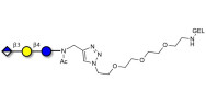 Glucuronyl-lactose grafted...