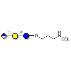 Glucuronyl-lactose grafted on gel for affinity chromatography (Linker-GEL B)