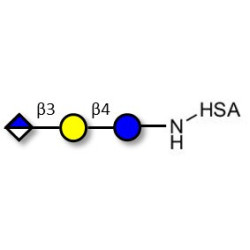Glucuronyl-lactose grafted on HSA