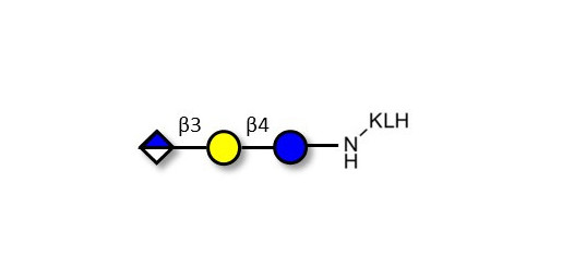 Glucuronyl-lactose grafted on KLH - HNK 1 epitope precursor