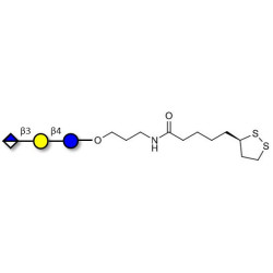 Glucuronyl-lactose with cyclic di-thiol (Linker-LIPO A)