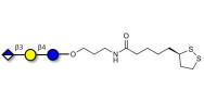 Glucuronyl-lactose with...