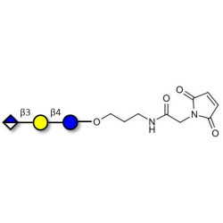Glucuronyl-lactose linked to maleimide (Linker-MAL A)