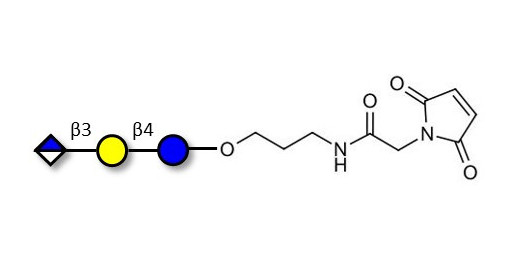 Glucuronyl-lactose linked to maleimide (Linker-MAL A) - HNK 1 epitope precursor