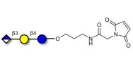 Glucuronyl-lactose linked...