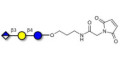 Glucuronyl-lactose linked to maleimide (Linker-MAL A) - HNK 1 epitope precursor