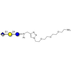 Glucuronyl-lactose with free terminal amine (Linker-NH2 B)