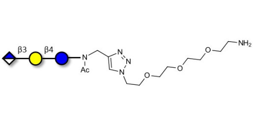 Glucuronyl-lactose with free terminal amine (Linker-NH2 B) - HNK 1 epitope precursor