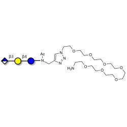 Glucuronyl-lactose with free terminal amine (Linker-NH2 C)