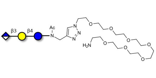 Glucuronyl-lactose with free terminal amine (Linker-NH2 C) - HNK 1 epitope precursor