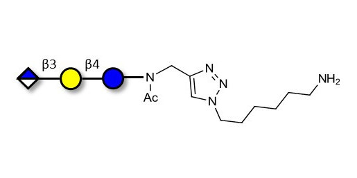 Glucuronyl-lactose with free terminal amine (Linker-NH2 D) - HNK 1 epitope precursor