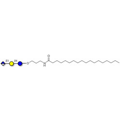Glucuronyl-lactose with stearic chain (Linker-STEA A)