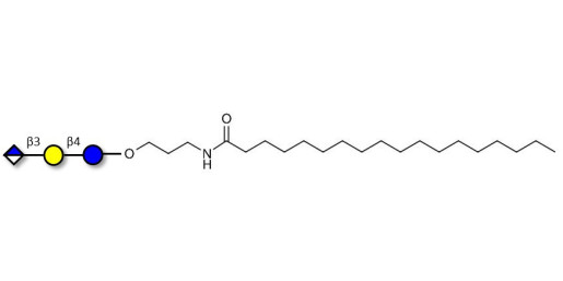 Glucuronyl-lactose with stearic chain (Linker-STEA A) - HNK 1 epitope precursor