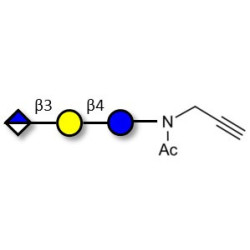 Glucuronyl-lactose with terminal alkyne (Linker-CΞCH A)