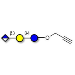 Glucuronyl-lactose with terminal alkyne (Linker-CΞCH B)