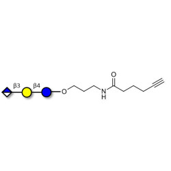 Glucuronyl-lactose with terminal alkyne (Linker-CΞCH C)