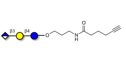 Glucuronyl-lactose with terminal alkyne (Linker-CΞCH C) - HNK 1 epitope precursor