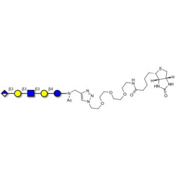 Glucuronyl-Lacto-N-tetraose linked to biotin (Linker-BT A)