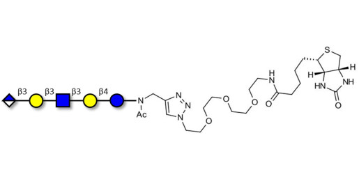Glucuronyl-Lacto-N-tetraose linked to biotin (Linker-BT A) - Glucuronyl-LNT
