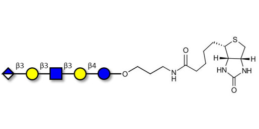 Glucuronyl-Lacto-N-tetraose linked to biotin (Linker-BT B) - Glucuronyl-LNT