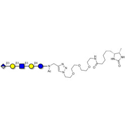 Glucuronyl-Lacto-N-tetraose linked to desthiobiotin (Linker-DBT-A)