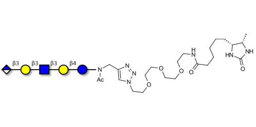 Glucuronyl-Lacto-N-tetraose linked to desthiobiotin (Linker-DBT-A) - Glucuronyl-LNT