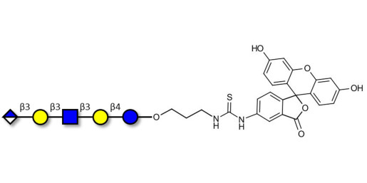 Glucuronyl-Lacto-N-tetraose linked to fluorescein (Linker-FLUO A) - Glucuronyl-LNT