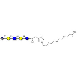 Glucuronyl-Lacto-N-tetraose grafted on gel for affinity chromatography (Linker-GEL A)
