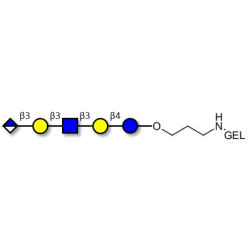 Glucuronyl-Lacto-N-tetraose grafted on gel for affinity chromatography (Linker-GEL B)
