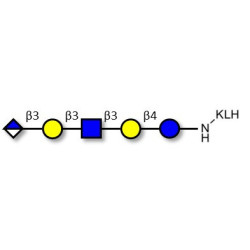 Glucuronyl-Lacto-N-tetraose grafted on KLH
