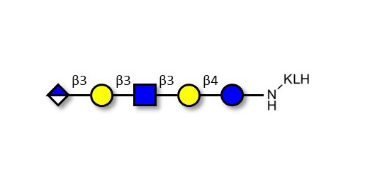 Glucuronyl-Lacto-N-tetraose grafted on KLH - Glucuronyl-LNT