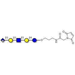 Glucuronyl-Lacto-N-tetraose linked to maleimide (Linker-MAL A)