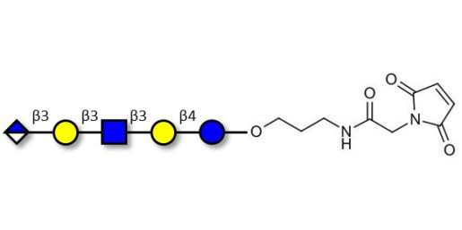 Glucuronyl-Lacto-N-tetraose linked to maleimide (Linker-MAL A) - Glucuronyl-LNT