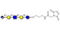 Glucuronyl-Lacto-N-tetraose linked to maleimide (Linker-MAL A) - Glucuronyl-LNT