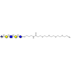 Glucuronyl-Lacto-N-tetraose with terminal azide (Linker-N3 A)
