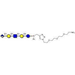 Glucuronyl-Lacto-N-tetraose with free terminal amine (Linker-NH2 B)