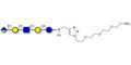 Glucuronyl-Lacto-N-tetraose with free terminal amine (Linker-NH2 B) - Glucuronyl-LNT