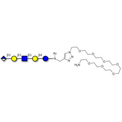 Glucuronyl-Lacto-N-tetraose with free terminal amine (Linker-NH2 C)