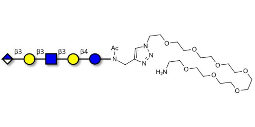 Glucuronyl-Lacto-N-tetraose with free terminal amine (Linker-NH2 C) - Glucuronyl-LNT