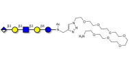 Glucuronyl-Lacto-N-tetraose...