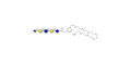 Glucuronyl-Lacto-N-tetraose with free terminal amine (Linker-NH2 C) - Glucuronyl-LNT