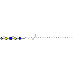 Glucuronyl-Lacto-N-tetraose with stearic chain (Linker-STEA A)