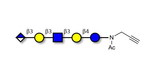 Glucuronyl-Lacto-N-tetraose with terminal alkyne (Linker-CΞCH A) - Glucuronyl-LNT