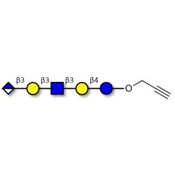 Glucuronyl-Lacto-N-tetraose with terminal alkyne (Linker-CΞCH B)