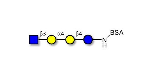 Globotetraose (Gb4) analogue grafted on BSA - Gb4 analogue